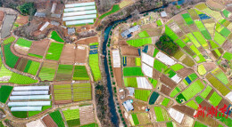 县区丨永州冷水滩：冬日蔬菜田 大地“调色盘”