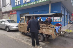 羊楼司镇：双管齐下 严防马路市场回弹