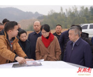 邱虹来云溪区现场调度乙烯项目