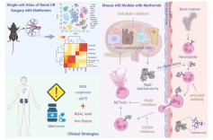 南华大学研究成果入选中国十大医学研究