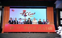 湖南省广场舞联盟筹备大会在长沙召开