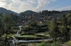 泥土里飞出人民的歌——评歌曲《爱从心窝飞出来》