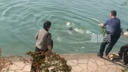 烈士公园内一儿童不慎落水 路过大爷毫不犹豫下水救人