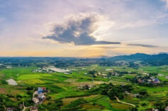 全省“100个乡村振兴重点慈善项目”发布