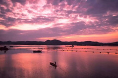 ​天籁旋律，情牵潇湘