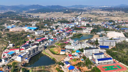 龙洞镇：稻丰油香兴产业 大将故里颂传奇