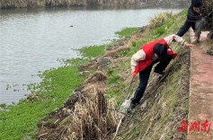 “河”我一起，共护水清河畅 | 冷水滩区开展“清河净滩”行动