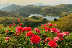 唱响新时代幸福之歌——浅评歌曲《我们爱唱这首歌》