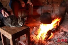 散文|张永中：山里火塘