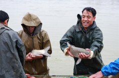县区丨冷水滩：冬收万斤鱼 村民笑开颜