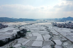 湖南新田：瑞雪兆丰年 田野美如画（组图）