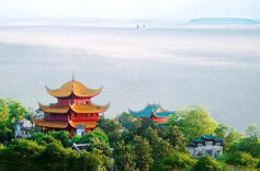 有一位岳州通判叫陈巽