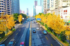 长沙历史地名故事：芙蓉路