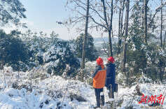 国网冷水滩供电公司：雪后巡检 确保电网安全稳定运行