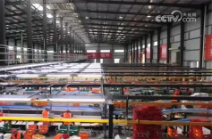 消费需求不断回暖 2023年我国冷链物流需求总量约3.5亿吨