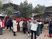 新田团县委开展“利剑护蕾·‘青’心守护”  志愿服务行动