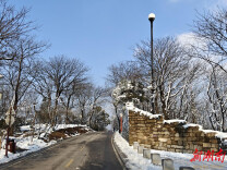 岳麓山景区逐步恢复开放