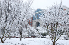 不用去“尔滨” 来白沙溪赏雪、喝茶也浪漫
