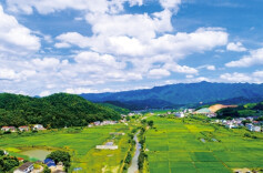 湖南日报│用好大数据护航乡村振兴，怀化追缴清退资金140余万元