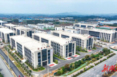 县区丨永州冷水滩：聚焦“一主一特” 加快“换挡提速”