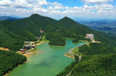 耄耋老人的“羊”气生活