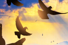 拥军优属 拥政爱民——唱响新时代的人民颂歌