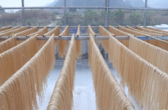 江华：做好“红薯”特色经济 助力产业振兴结硕果