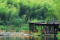 初见即最美——歌曲《竹乡遇见你》艺术特色初探