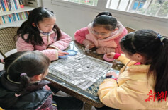 社区丨白竹亭社区：开展“喜迎新春乐在棋中”棋类比赛活动