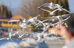 美文丨肖凌之：有一种阳光，叫微笑