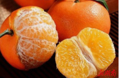 爱心助残，温暖寒冬 | 残疾人王翠玉独肢创业，幸福柑桔等你来购