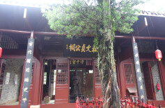 拜谒“诗圣”（上）