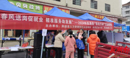 “春风送岗促就业 精准服务助发展” 辰溪县启动2024年“春风行动”招聘活动
