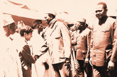 中国人开创西非茶产业的新纪元