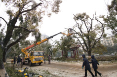扫雪除冰清断枝 共战冰雪暖意浓