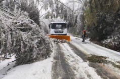 战冰雪 保畅通 临湘市公路建设和养护中心积极保障群众出行安全
