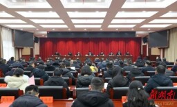 2023年度乡镇和县直行业系统党（工）委书记抓基层党建工作述职评议会议召开