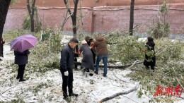 迎“寒”而上保畅通 清障除冰暖意浓