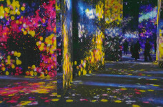 日本：“teamLab无界”新数字美术馆亮相