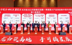 长沙县这项“新年俗”，价值超700亿元