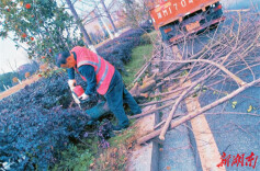 部门丨冷水滩区环卫和园林中心：收心归位启新程 元气满满展“龙”图