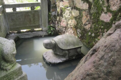 长沙的龙井龙泉