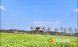 洪江市黔城镇：广袤田野孕育新的丰收希望