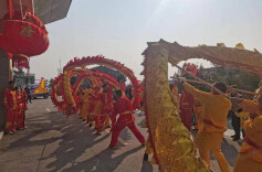 黄盖镇：舞龙闹新春 民俗年味浓