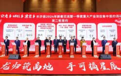 长沙县这项“新年俗”，价值超700亿元