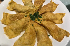 氤氲此间蛋饺子