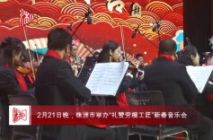 株洲市举办“礼赞劳模工匠”音乐会