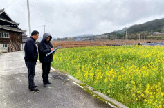 万佛山镇：抢抓农时忙生产 万象“耕新”不误农