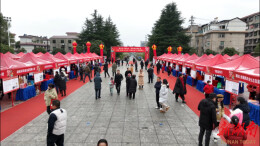 春风送岗促就业 精准服务助发展——辰溪举办2024年“春风行动”大型招聘会