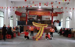 新田：龙行龘龘闹元宵 欢天喜地过佳节